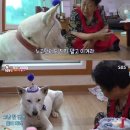 두산한솔1차(아) | 생에 첫 야구 직관 후기 (두산vs롯데)