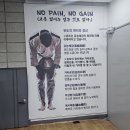 용인대 중앙 유도관 이미지