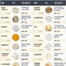 탕화쿵푸마라탕 이미지