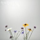 럭키꽃식물원