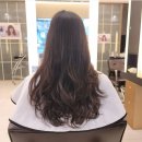 엘리헤어 이미지