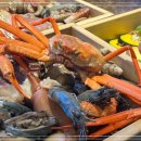 진세이로무시 이미지