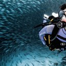 MBS(엠비에스) 이미지