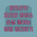 파프리카 요리와 영양소 손실 줄이는 방법 정리하기