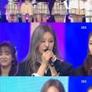 워너비스완 이미지