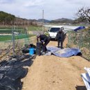 성의농장 2 이미지