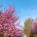 칠봉목장 이미지