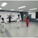 베스트 연세 태권도 이미지