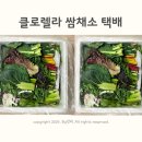 농부의꿈 이미지