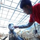 김학진농장 뉴스1
