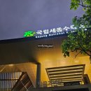 연기면_세종중앙공원(중앙)공터 | 세종수목원 야간개장 후기 : 낭만 넘치는 별빛 산책과 고흐전 체험! 가족&amp;데이트 필수 정보 총정리