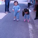 대지초등학교 이미지