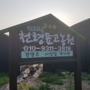 함양액즙 이미지