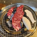 플라잉카우 이미지