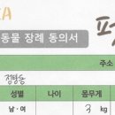 펫토피아(PETOPIA) 이미지