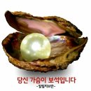 소로보건진료소 | 청주 경매1계 2023 타경 4670 [대지]