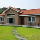 stay봄날 이미지