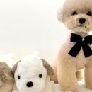 아우어패밀리 이미지