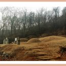 이순신 묘 이미지