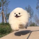 [선릉] 본사에서 직영으로 관리하는 노랑통닭 선릉점 점심메뉴 추천 치킨마요, 치킨샐러드 후기