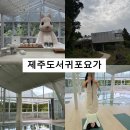 제주 서귀포 힐링여행 요가 원데이 체험 에가톳 웰니스센터 후기