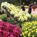 대청호반 이미지