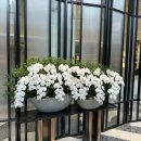 제이그랜드 이미지