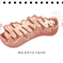 (주)피코엔텍