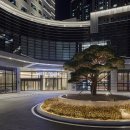 소노캄 고양 이미지