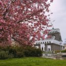 쇼핑은테라피 이미지