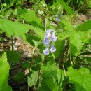 성산면-1 이미지