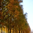 서울숲11 이미지