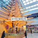 청주푸른학교지역아동센터 | 청주 실내 아이와 가볼만한곳 충북 과학체험관 놀거리 무료!