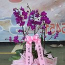 동서회마트