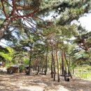 선녀펜션 이미지