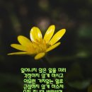 일로평안