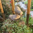 느티나무펜션 이미지