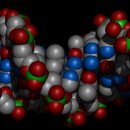 데옥시리보핵산 [ Deoxyribonucleic acid ] 이미지