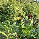 내린천 다락방 | 인제 내린천 러스틱캐빈 연아재 - 손님맞이 준비