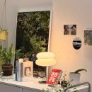 믿음사 | [제품리뷰]2026을 새롭게 시작하고 싶어서 구매한, 믿음사 2026년 일력 후기!