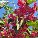 큰나무농장 이미지