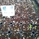 황기슈퍼 이미지