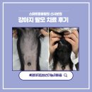 이화동물병원 | [스마트동물병원 신사본원] 강아지 탈모의 원인, 갑상선 기능저하증은 아닌가요? / 강아지 탈모 치료 후기