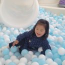 희재농장 이미지