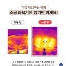 동보산업 이미지