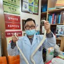 에덴동물병원 이미지