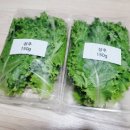 싱싱한 농업회사법인 주식회사 네이버블로그