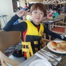 코타강쥐 이미지