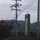 백일홍명품길 이미지