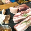 돼지짱 이미지